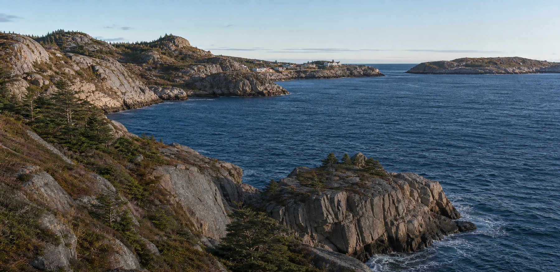 Rugged Newfoundland coastline